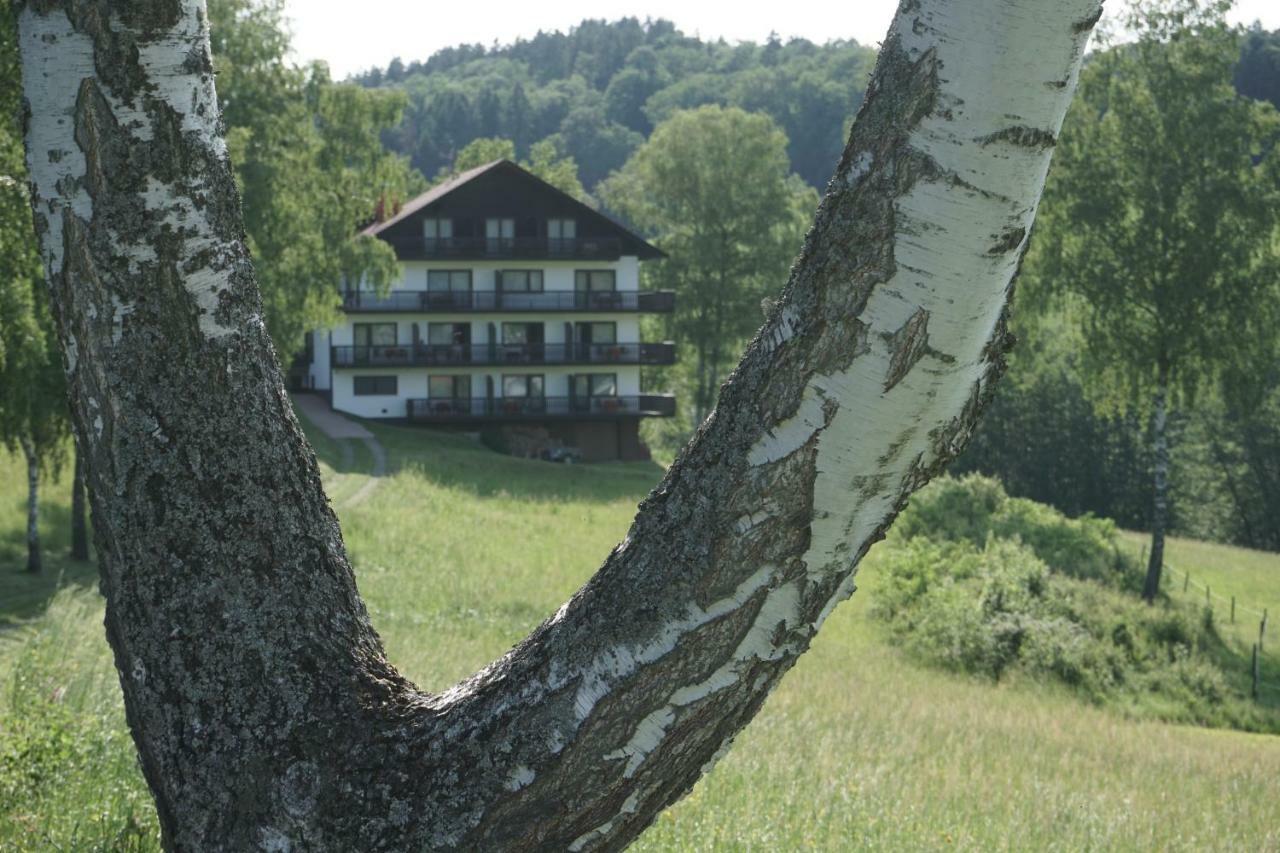 Birkenhof Hotel Wald-Michelbach Exterior photo