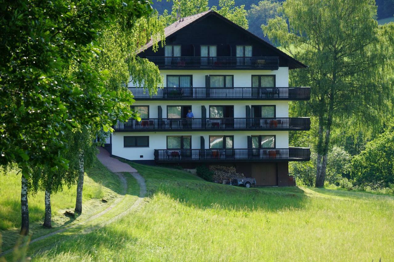 Birkenhof Hotel Wald-Michelbach Exterior photo